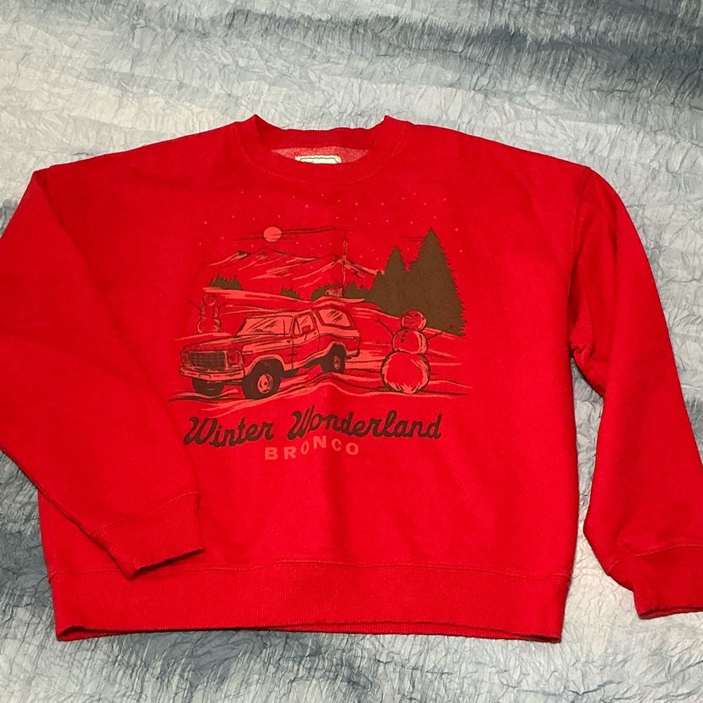 118. American Eagle Outfitters Red Scenic Sweatshirt